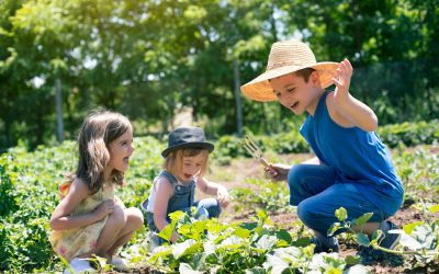 Why growing food together is better than growing it alone — and how Thunder Gardens makes it possible in Ottawa