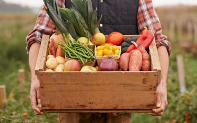 A Beginner’s Guide to Growing Your Own Vegetables in Ottawa’s Climate