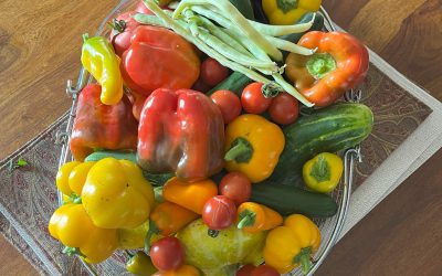 What We’re Growing in 2026 | Thunder Gardens Ottawa